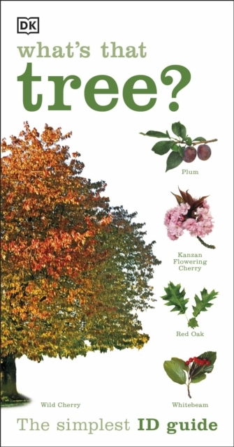 What's That Tree? The Simplest Id Guide Ever