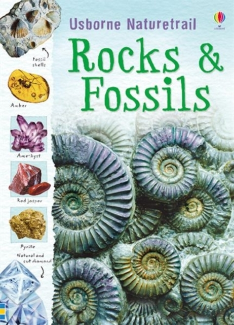Billede af Rocks And Fossils