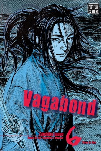 Vagabond Vizbig Edition, Vol. 6