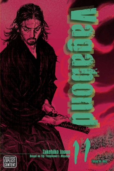 Vagabond Vizbig Edition, Vol. 11