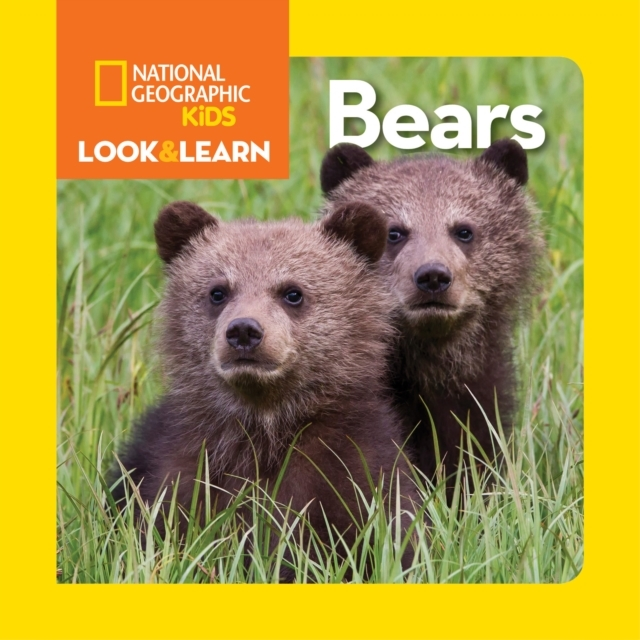 Billede af Look And Learn: Bears