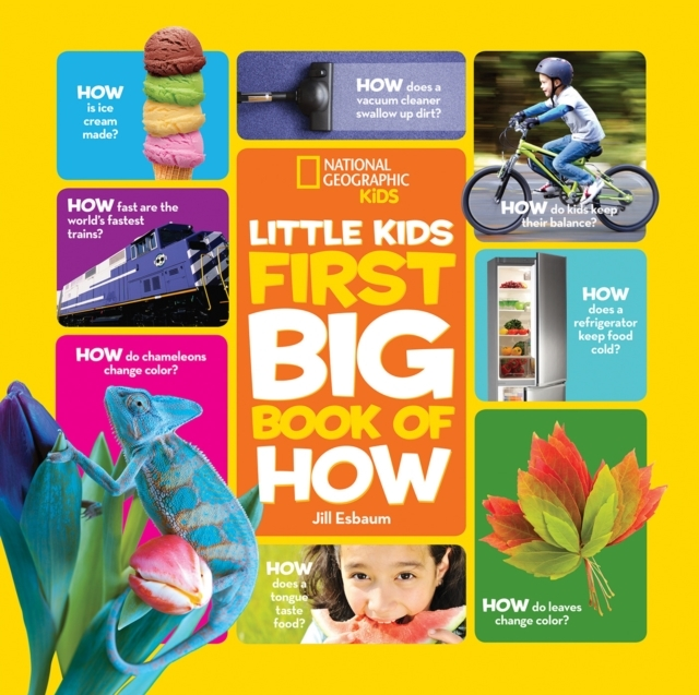 Billede af Little Kids First Big Book Of How