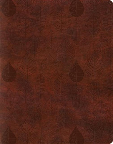 Esv Single Column Journaling Bible