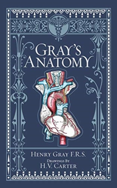 Gray's Anatomy Barnes & Noble Collectible Editions