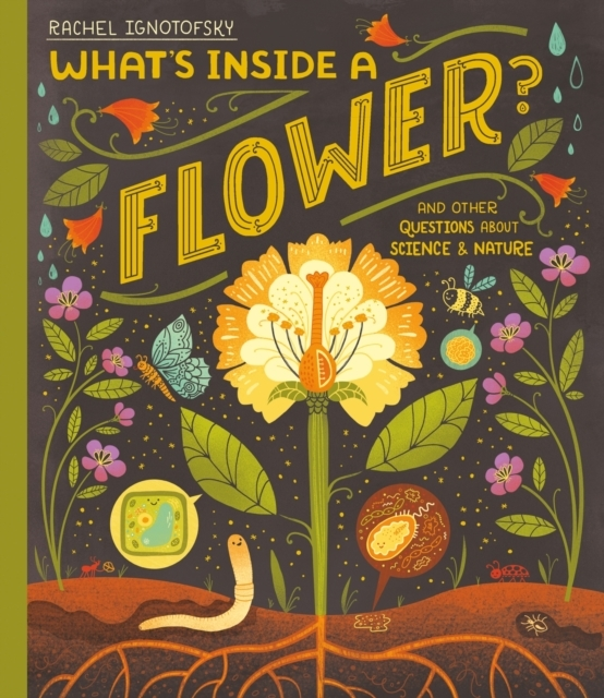 Billede af What's Inside A Flower? And Other Questions About Science An