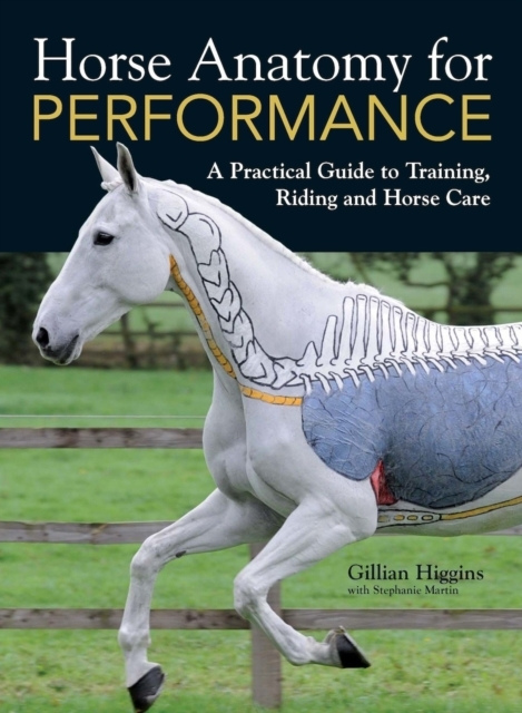 Billede af Horse Anatomy For Performance A Practical Guide To Training,