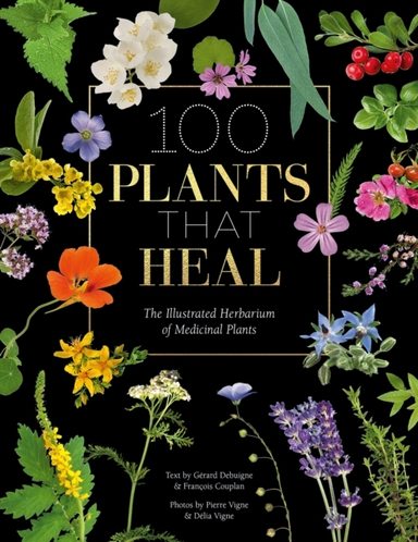 100 Plants That Heal The Illustrated Herbarium Of Medicinal
