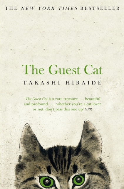 Billede af The Guest Cat