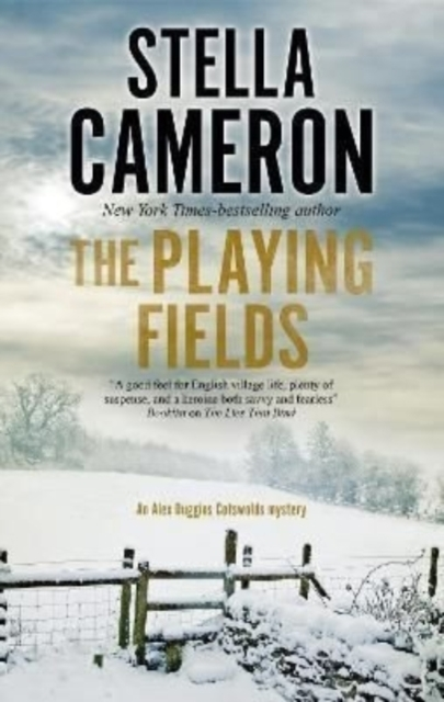 Billede af The Playing Fields