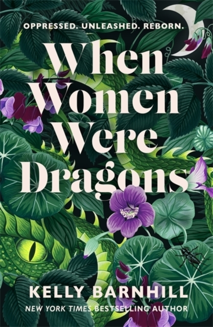Billede af When Women Were Dragons An Enduring, Feminist Novel From New