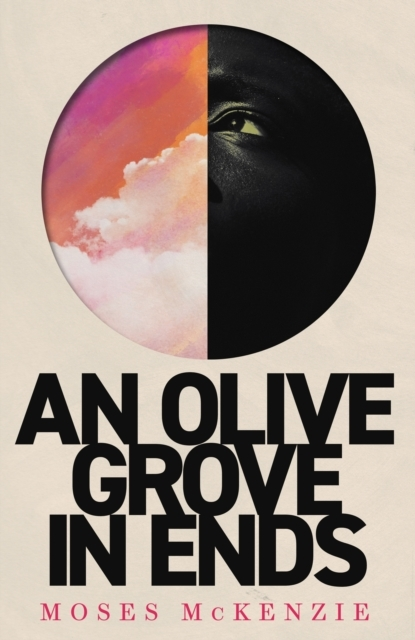 Billede af An Olive Grove In Ends The Dazzling Debut Novel About Love,