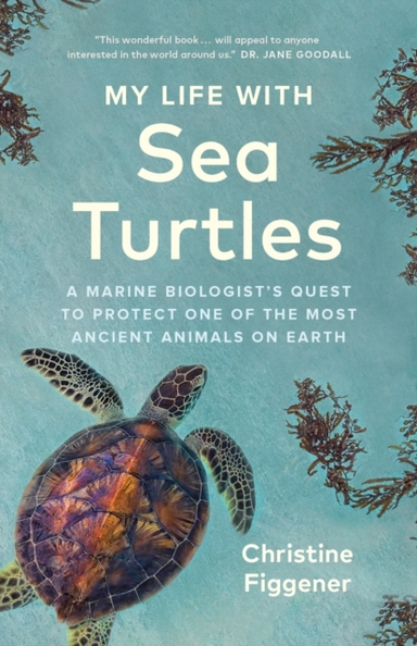 My Life With Sea Turtles A Marine Biologist's Quest To Prote