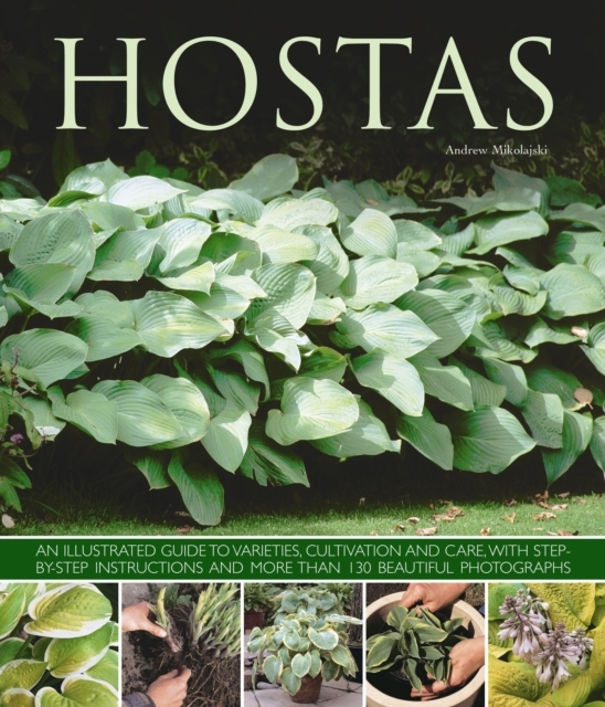 Billede af Hostas An Illustrated Guide To Varieties, Cultivation And Ca