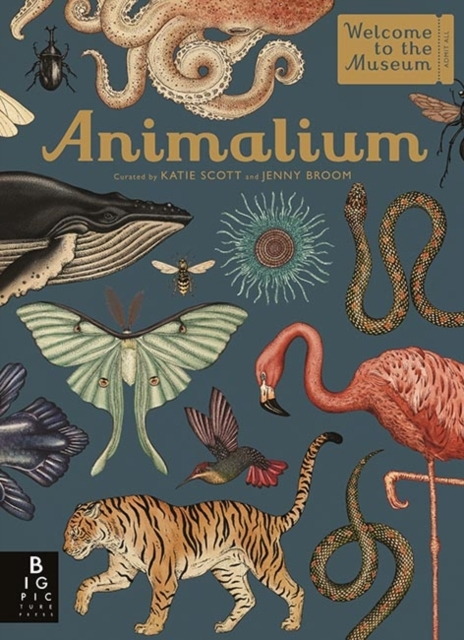 Billede af Animalium