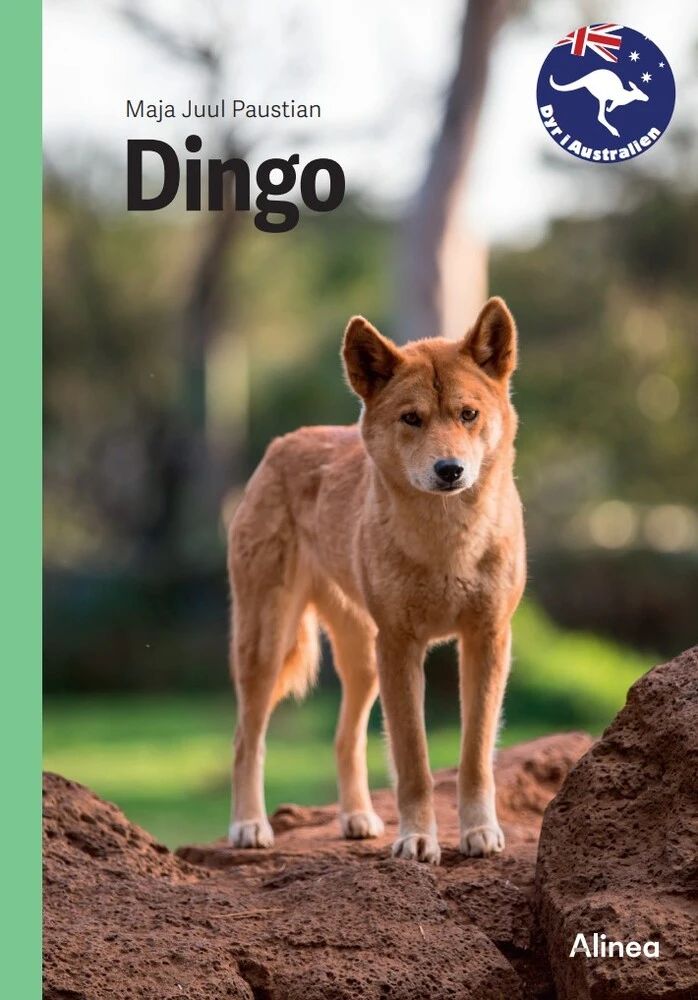 Billede af Dingo, Grøn Fagklub