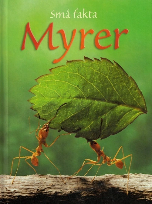 Billede af Små fakta: Myrer