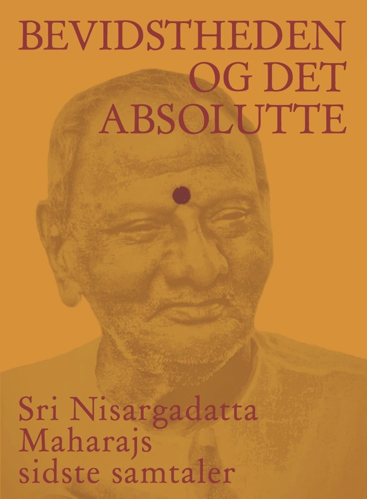 Billede af Bevidstheden og det absolutte