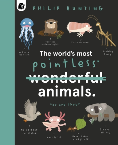 The World'S Most Pointless Animals Or Are They?