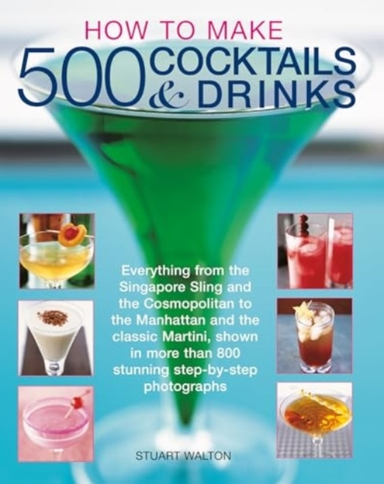 How To Make 500 Cocktails & Drinks Everything From The Singa