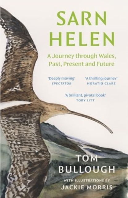 Billede af Sarn Helen A Journey Through Wales, Past, Present And Future
