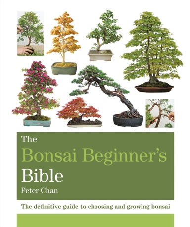 The Bonsai Beginner's Biblethe Definitive Guide To Choosing