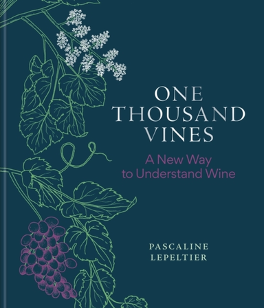 One Thousand Vinesa New Way To Understand Wine