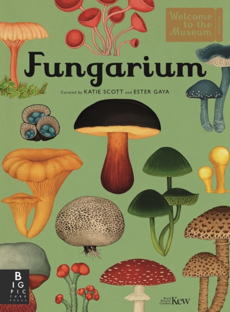 Billede af Fungarium