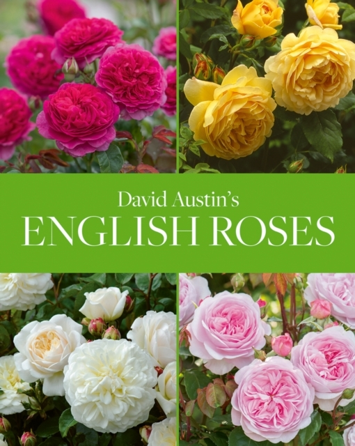David Austin \'\'s English Roses