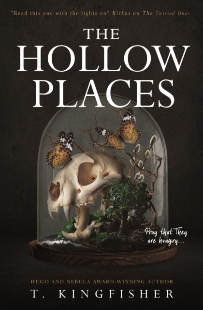 Billede af The Hollow Places