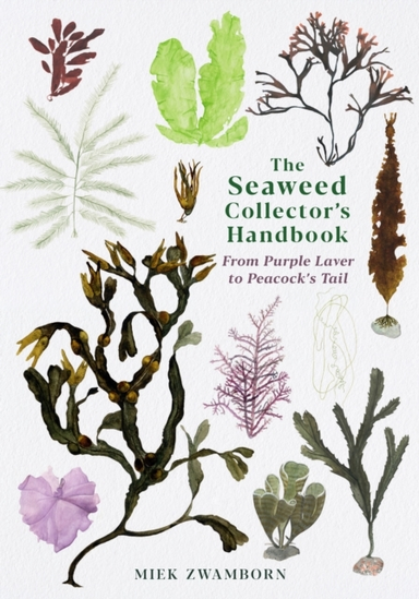 The Seaweed Collector's Handbookfrom Purple Laver To Peacock