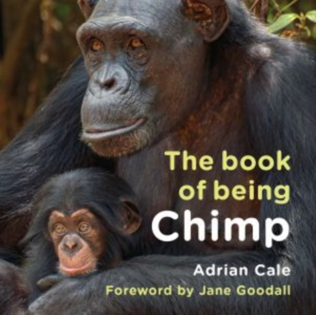 Billede af The Book Of Being Chimp