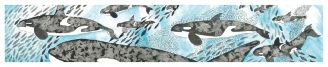 Billede af Orcas Card