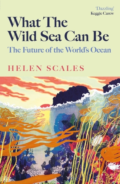 What The Wild Sea Can Bethe Future Of The World's Ocean