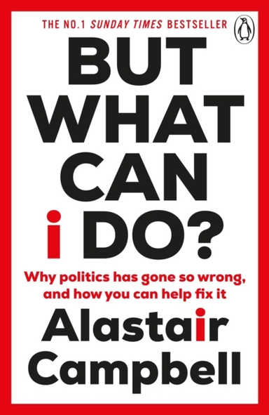 But What Can I Do?Why Politics Has Gone So Wrong And How Yo