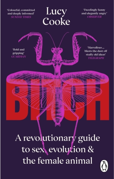 Bitchwhat Does It Mean To Be Female?