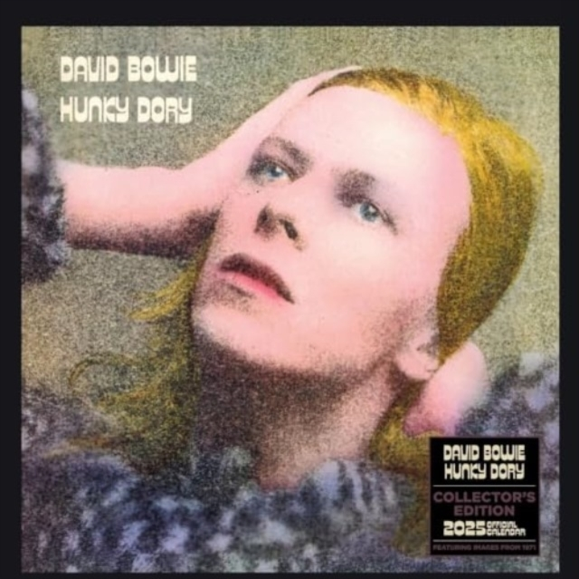 Billede af Official David Bowie Collector's Edition Record Sleeve Calen