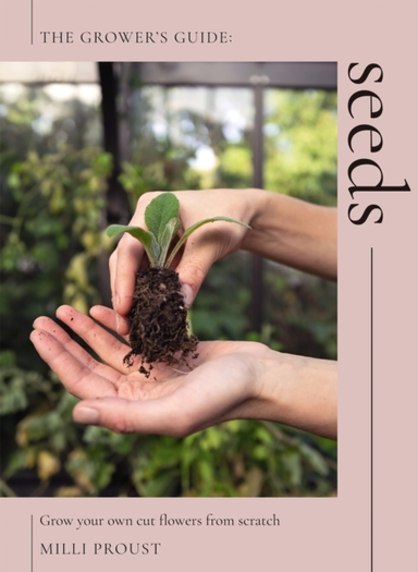 Seedsgrow Your Own Cut Flowers From Scratch