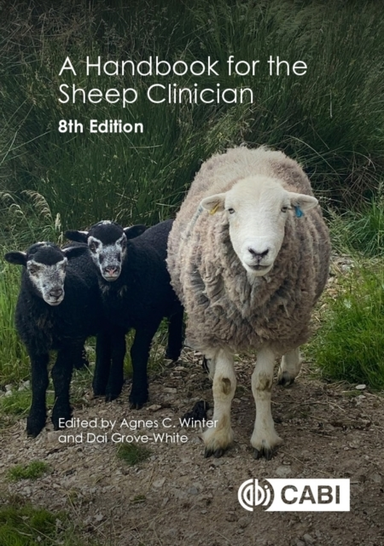A Handbook For The Sheep Clinician