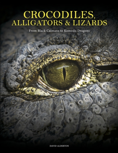 Crocodiles Alligators & Lizardsfrom Black Caimans To Komodo