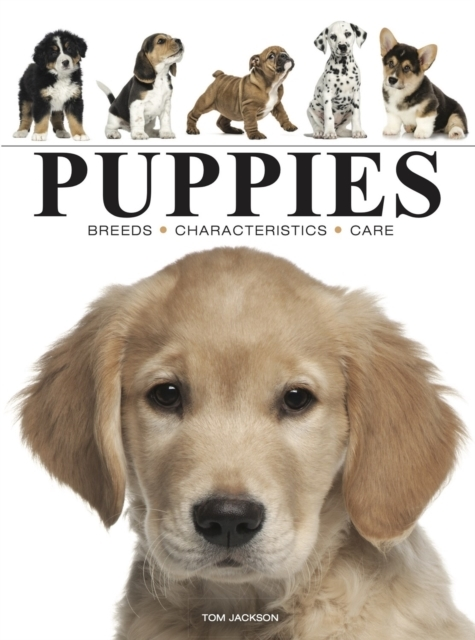 Billede af Puppies