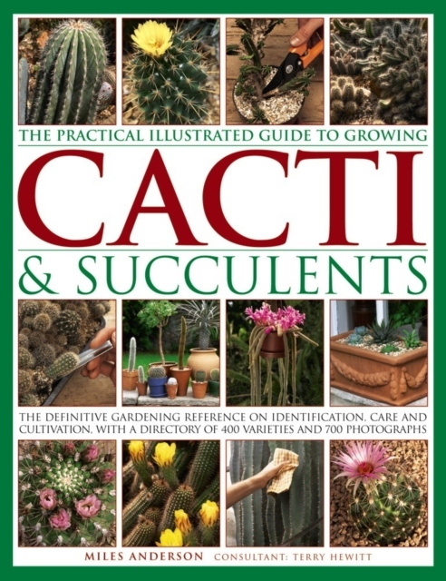 Billede af Practical Illustrated Guide To Growing Cacti & Succulents