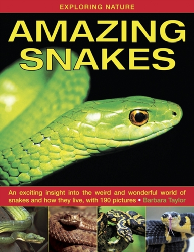 Exploring Nature Amazing Snakesan Exciting Insight Into The