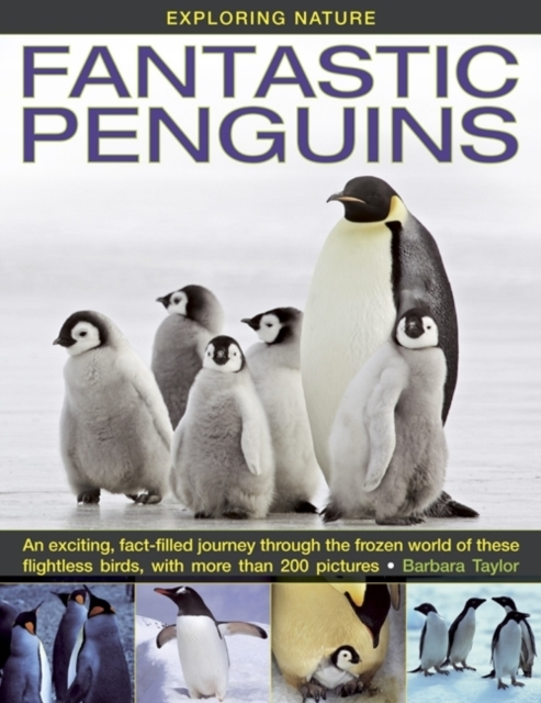 Billede af Exploring Naturefantastic Penguins An Exciting Fact-Filled