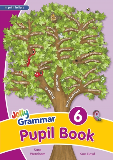 Grammar 6 Pupil Bookin Print Letters (British English Editio