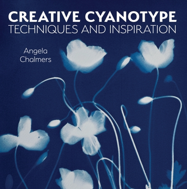 Creative Cyanotype Techniques And Inspiration