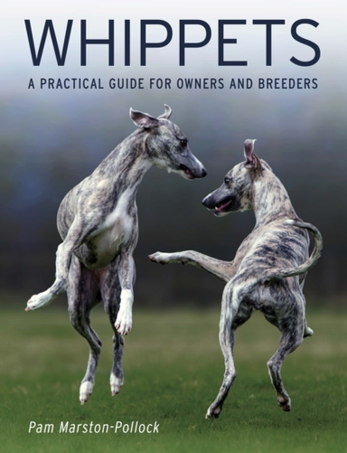 Whippets A Practical Guide For Owners And Breeders