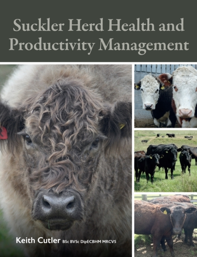 Suckler Herd Health And Productivity Management
