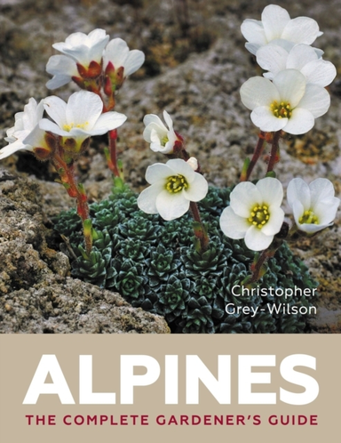 Alpines The Complete Gardener’S Guide