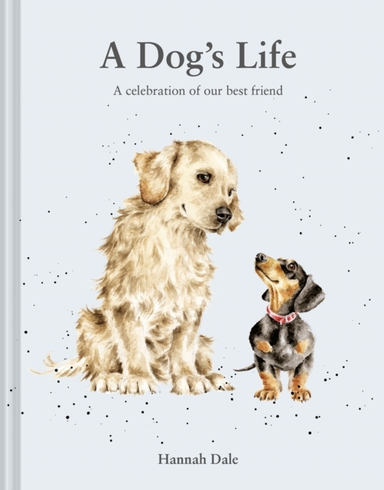 A Dogs Lifea Celebration Of Our Best Friend
