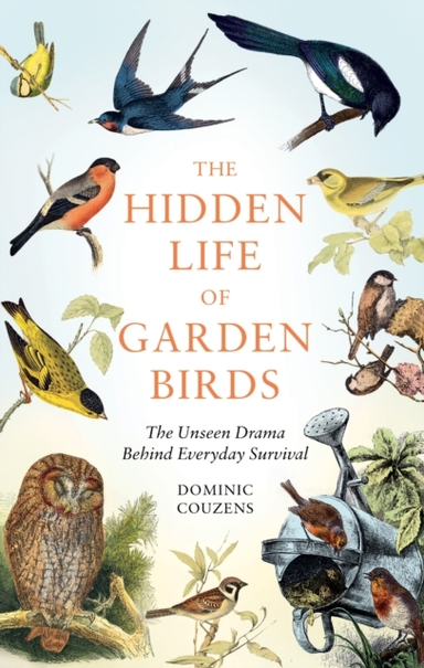 The Hidden Life Of Garden Birdsthe Unseen Drama Behind Every